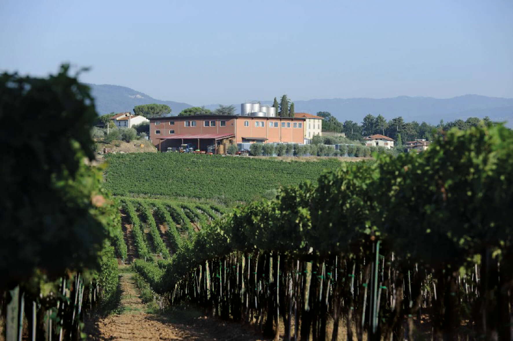 Cantine Bonacchi