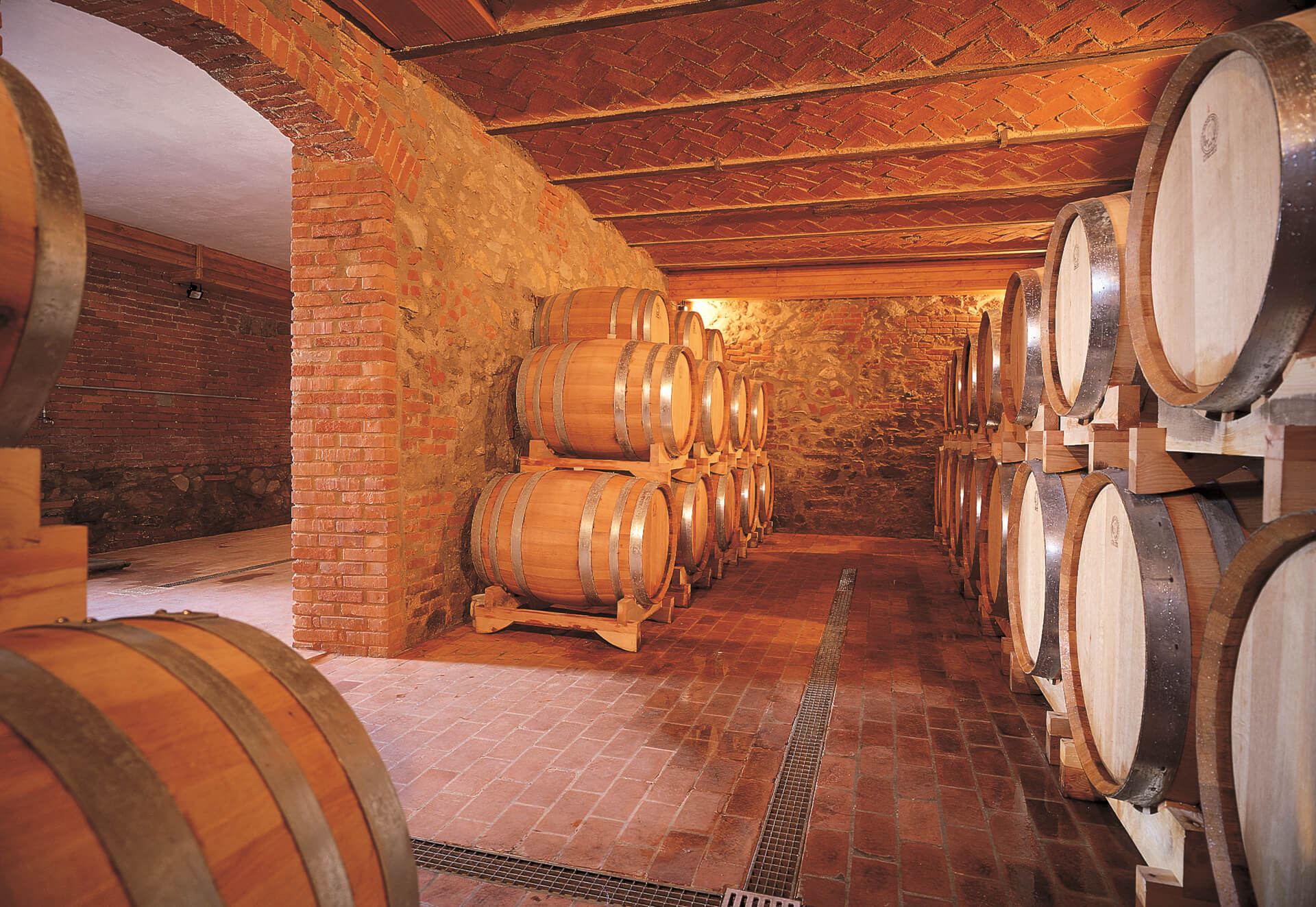 Botti nella cantina Bonacchi