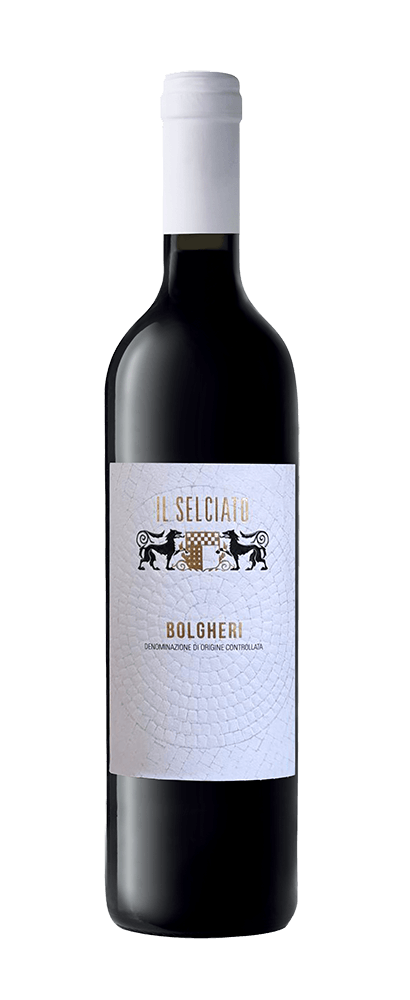 SELCIATO - BOLGHERI