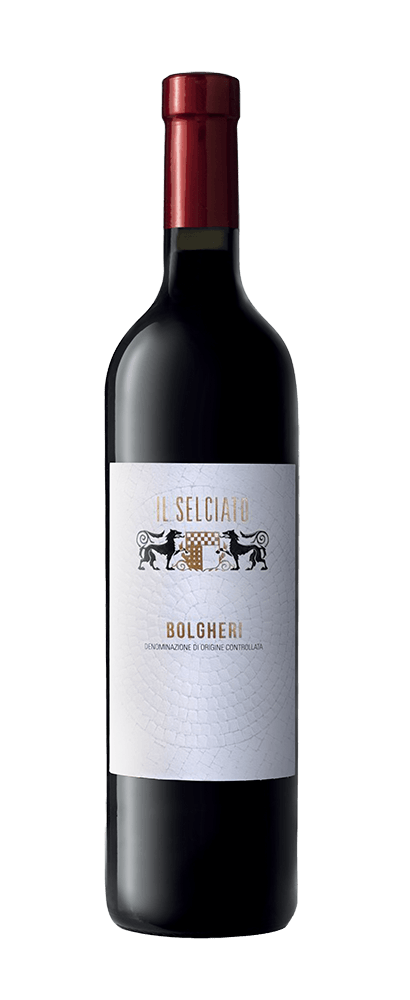 SELCIATO - BOLGHERI